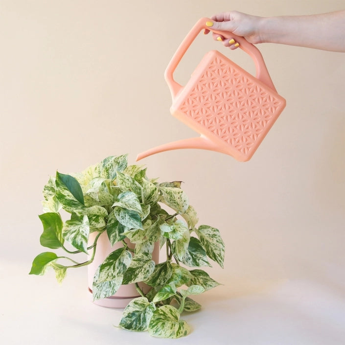 Peach Breeze Block Watering Can